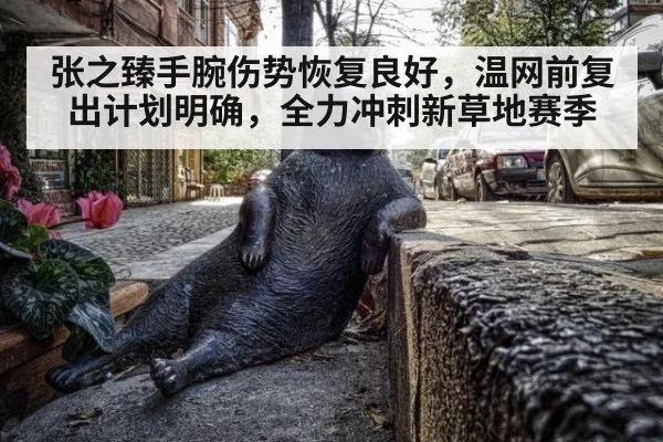 张之臻手腕伤势恢复良好，温网前复出计划明确，全力冲刺新草地赛季